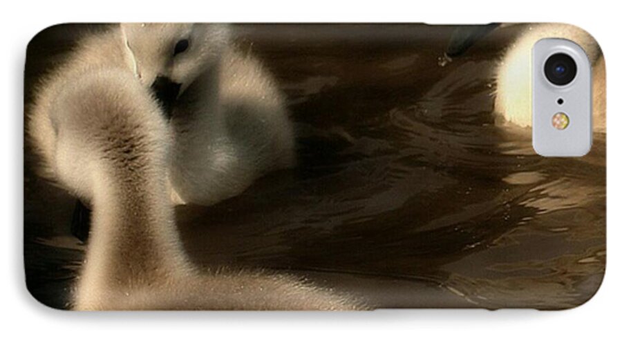 Cygnets iPhone 8 Case featuring the photograph They Called You An Ugly What #1 by Abbie Shores