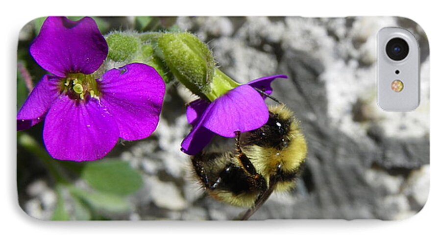 Bumble Bee iPhone 8 Case featuring the photograph A Day's Work by KD Johnson