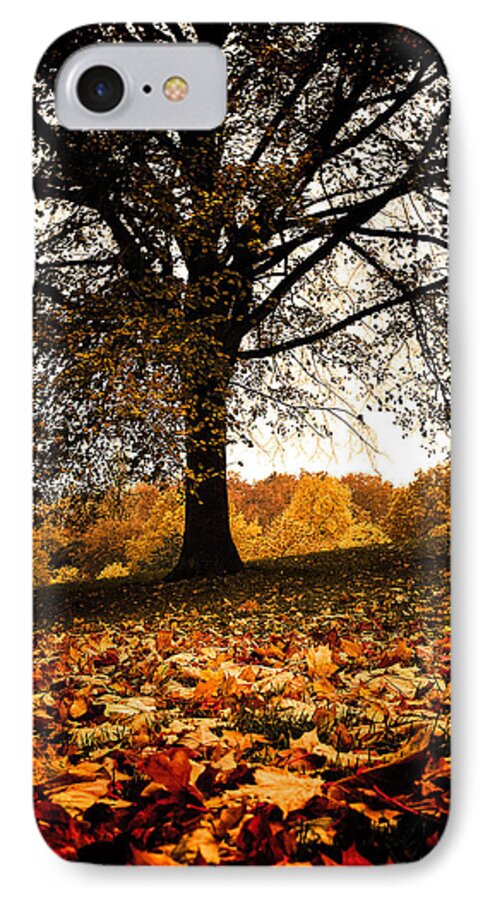 Autumn iPhone 8 Case featuring the photograph Autumnal Park by Lenny Carter