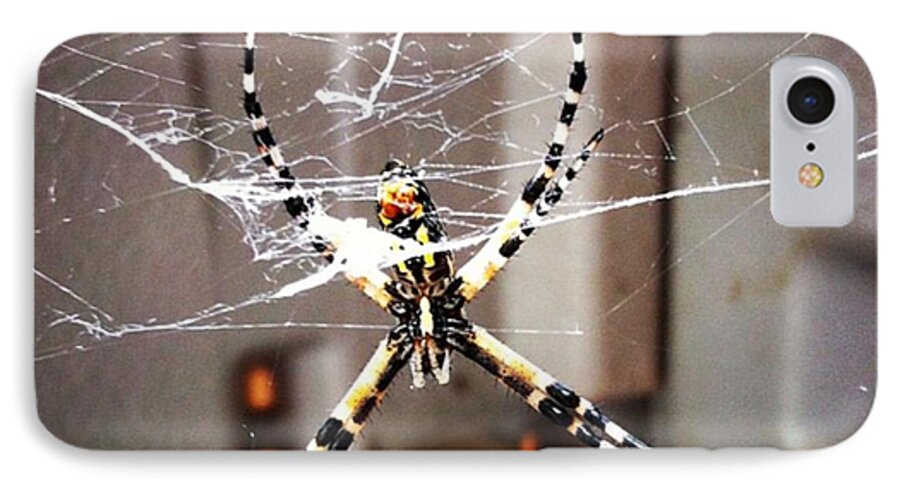  iPhone 8 Case featuring the photograph Banana Spider by Dana Coplin