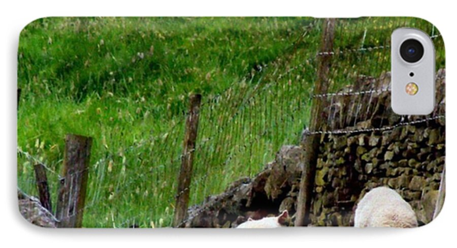 Lamb iPhone 8 Case featuring the photograph British Lamb by Abbie Shores