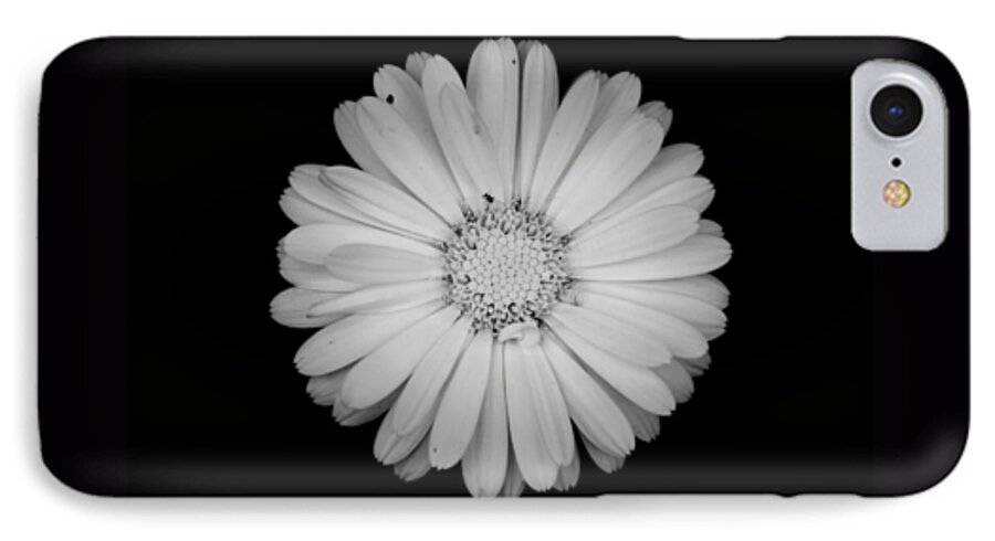 Calendula iPhone 8 Case featuring the photograph Calendula flower - Black and white by Laura Melis