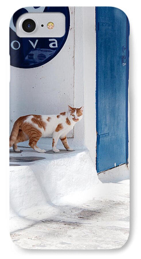 Cat iPhone 8 Case featuring the photograph Cat in Mykonos by Laura Melis