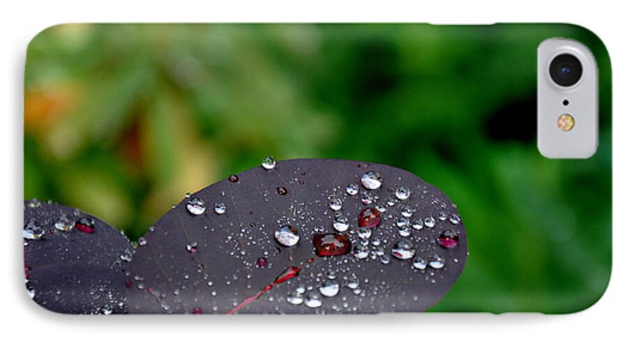 Botanical iPhone 8 Case featuring the photograph Dew Drops on Smoke Tree Leaves by Tatyana Searcy