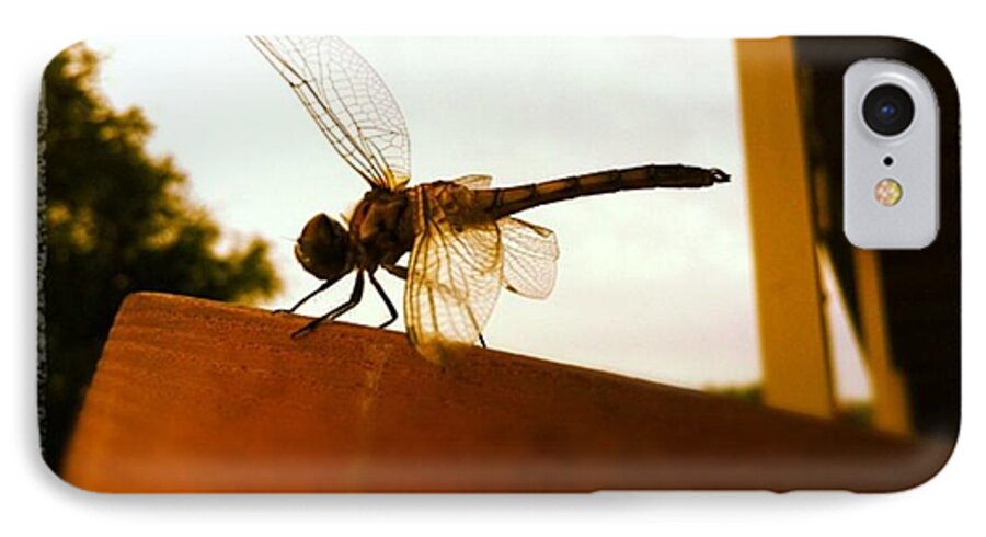  iPhone 8 Case featuring the photograph Dragon Fly by Dana Coplin