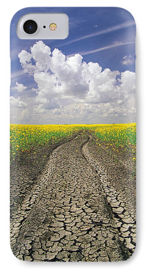 Canola Field iPhone 8 Case featuring the photograph Dried Up Machinery Tracks by Dave Reede
