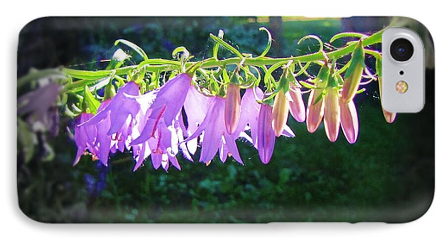 Flower iPhone 8 Case featuring the photograph Early Morning Touch by Deahn Benware