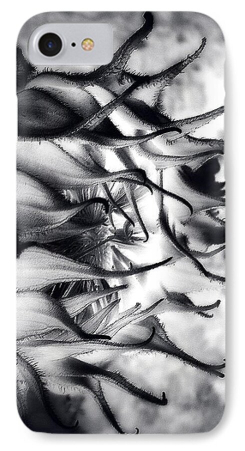 Sianart iPhone 8 Case featuring the photograph Emanate by Sian Lindemann