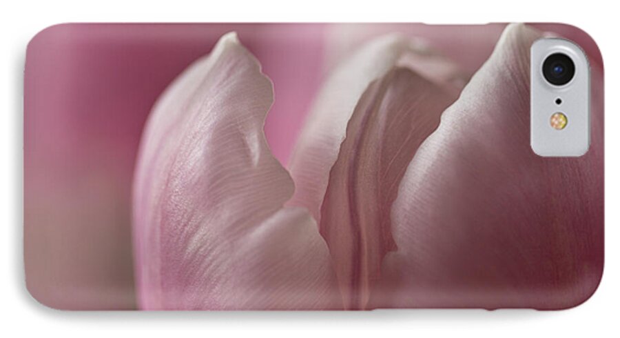 Clare Bambers iPhone 8 Case featuring the photograph Erotic Bud by Clare Bambers