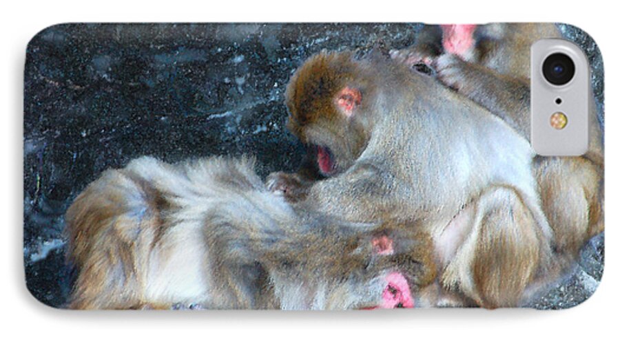 Snow Monkey iPhone 8 Case featuring the photograph Free Buffet and Grooming by Sarah McKoy