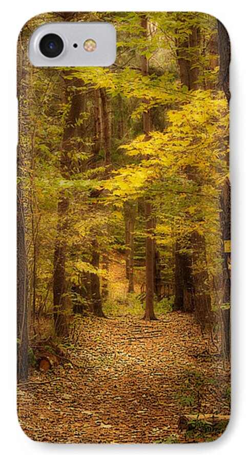 Autumn iPhone 8 Case featuring the photograph Golden Forest by Cindy Haggerty