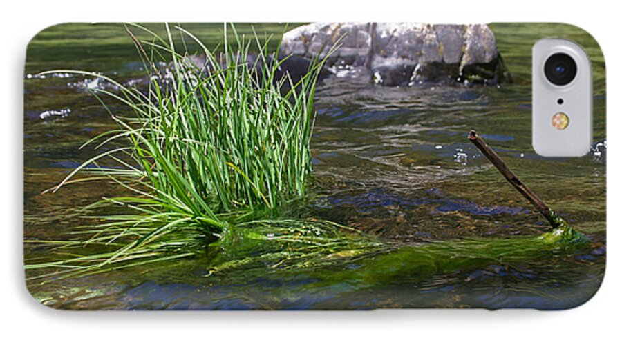 Grass iPhone 8 Case featuring the photograph Grass Rock Stick by Joseph Bowman