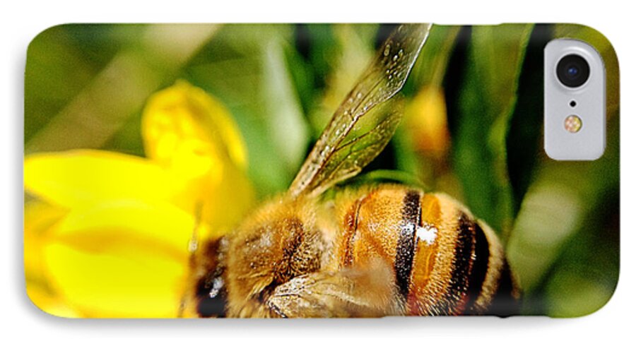 Honey Bee iPhone 8 Case featuring the photograph Honey Bee by Chriss Pagani