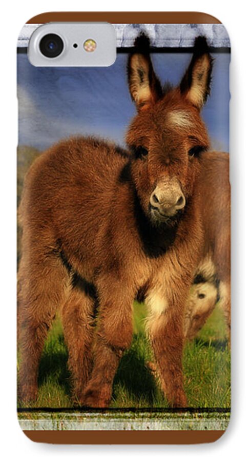 Miniature Donkey iPhone 8 Case featuring the photograph I'm A Star by Tiana McVay