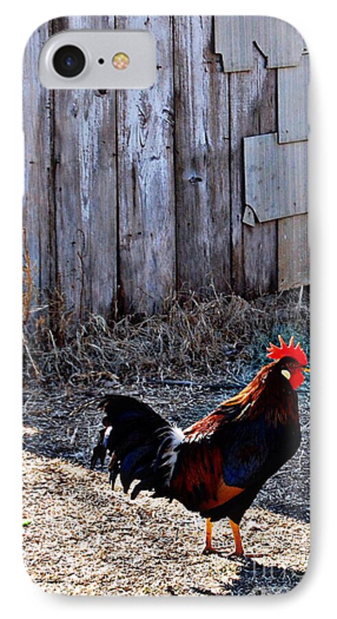 Rooster iPhone 8 Case featuring the photograph Little Red Rooster by Anjanette Douglas