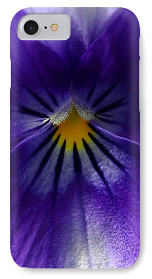 Pansies iPhone 8 Case featuring the photograph Pansy Abstract by Lisa Phillips