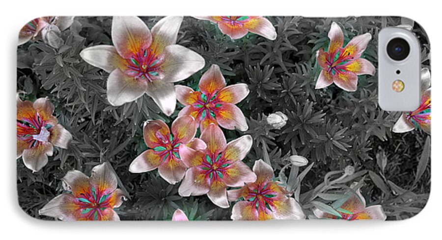 Herbaceous Perennials iPhone 8 Case featuring the photograph Pasqueflower in Silver by Stan Kwong
