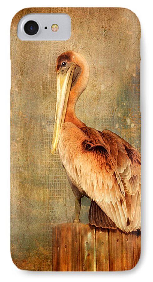 Pelican iPhone 8 Case featuring the photograph Portrait of a Pelican by Karen Lynch