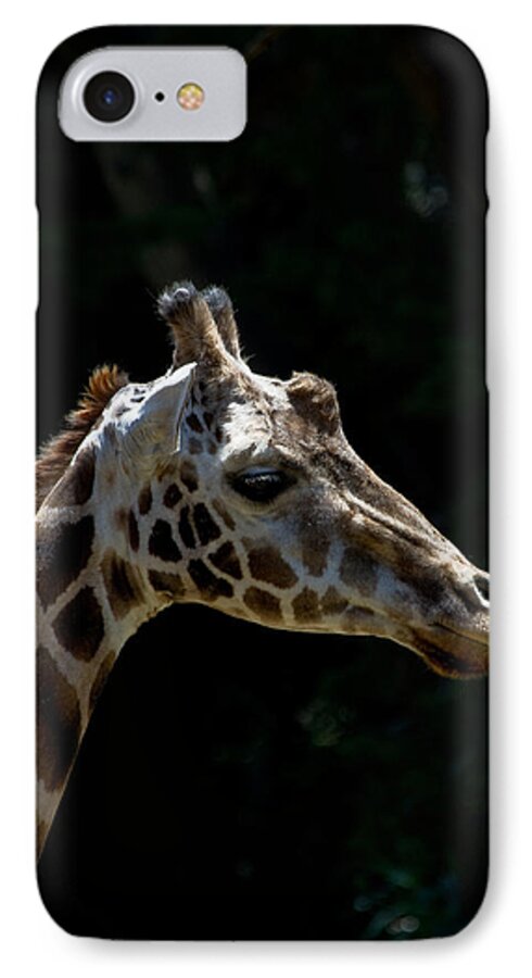 Animals iPhone 8 Case featuring the photograph Reflection Time by Roger Mullenhour