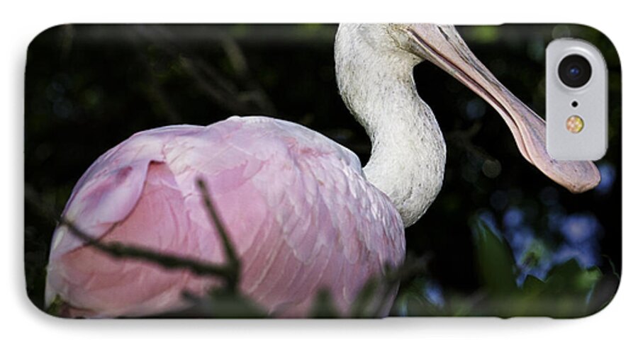 Bird iPhone 8 Case featuring the photograph Roseate Spoonbill by Fran Gallogly