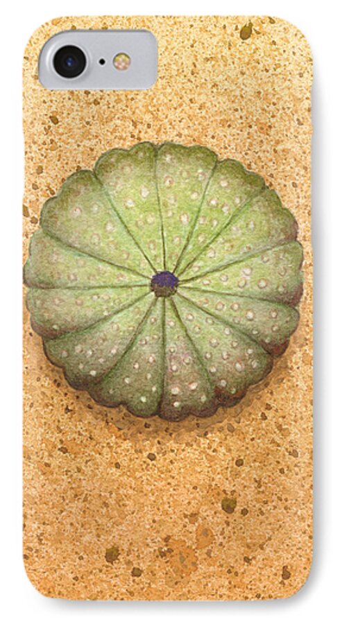 Print iPhone 8 Case featuring the painting Sea Urchin by Katherine Young-Beck