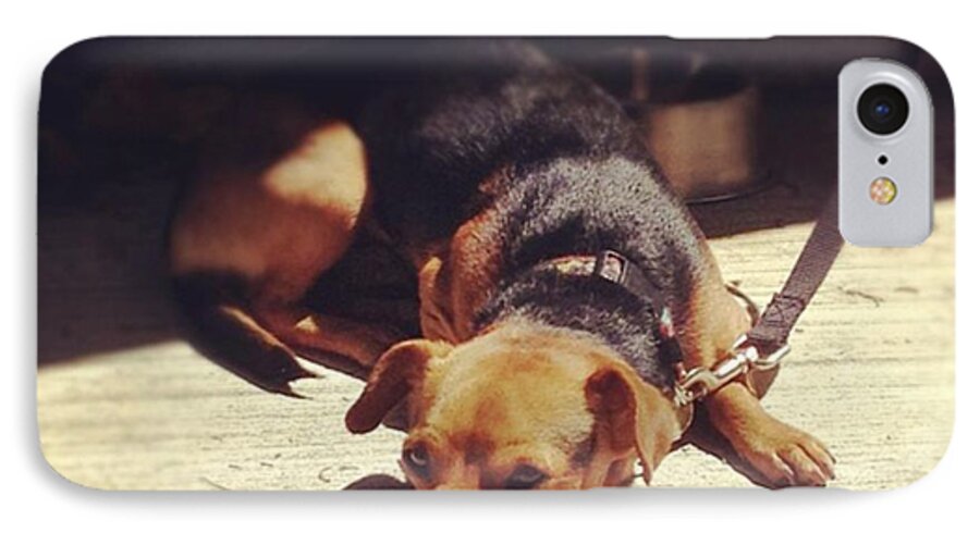 Puppy iPhone 8 Case featuring the photograph Stretchy In Trouble -_- #dog #puppy by Nena Alvarez