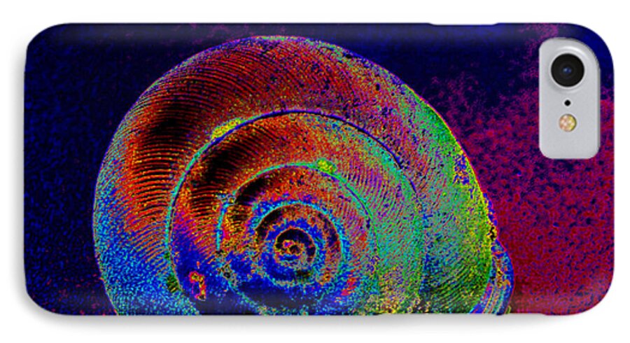 the Painted Shell iPhone 8 Case featuring the photograph The Painted Shell by Kimmary MacLean