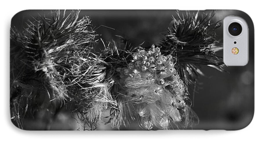 Cirsium iPhone 8 Case featuring the photograph Thistle Seeds by Dariusz Gudowicz