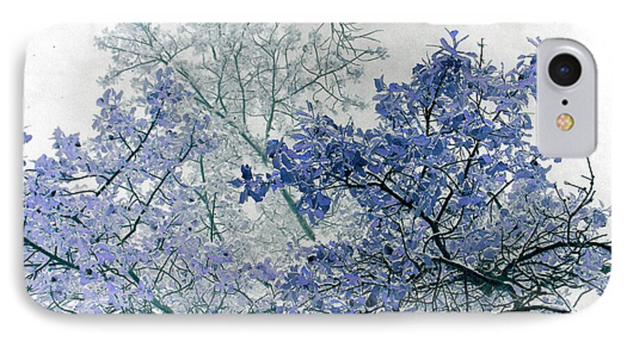 Tree iPhone 8 Case featuring the photograph Trees Above by Rebecca Margraf