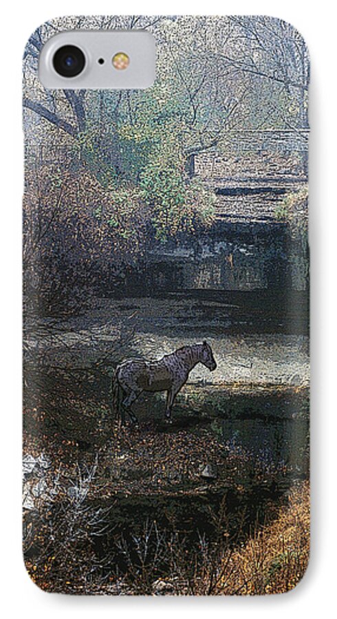 Horse iPhone 8 Case featuring the photograph Watering Hole by Jon Lord