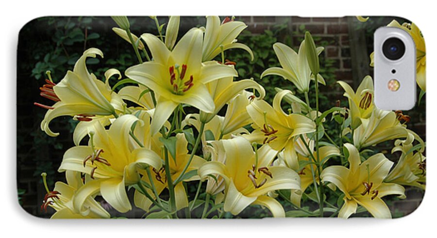 Spring iPhone 8 Case featuring the photograph Yellow Oriental Stargazer Lilies by Tom Wurl