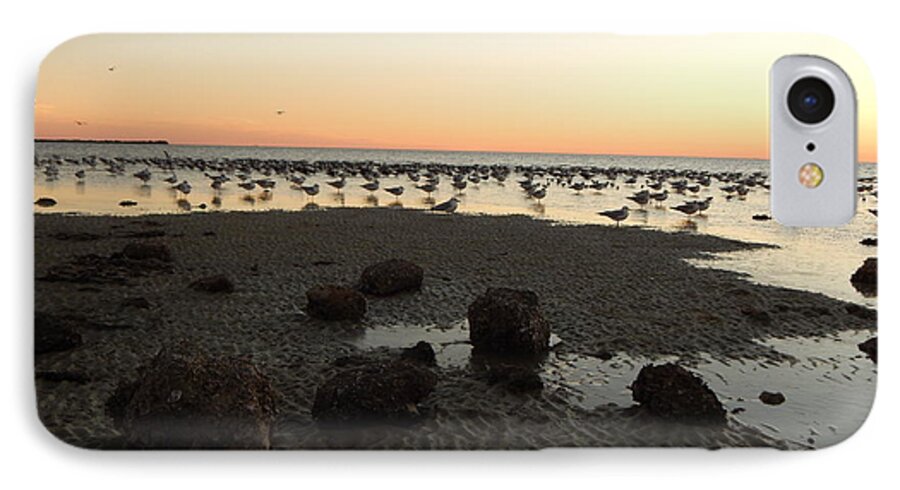 After Sunset Sky Glows Pale Orange At The Horizon As The Fading Light In The Sky Reflects In The Low Tide.sea Birds All Seem To Stare In The Same Direction Standing In The Shallows. iPhone 8 Case featuring the photograph Beach rocks barnacles and birds by Priscilla Batzell Expressionist Art Studio Gallery