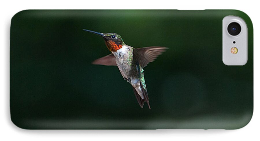 Hummers iPhone 8 Case featuring the photograph Male Ruby Throated Hummingbird #1 by Brenda Jacobs