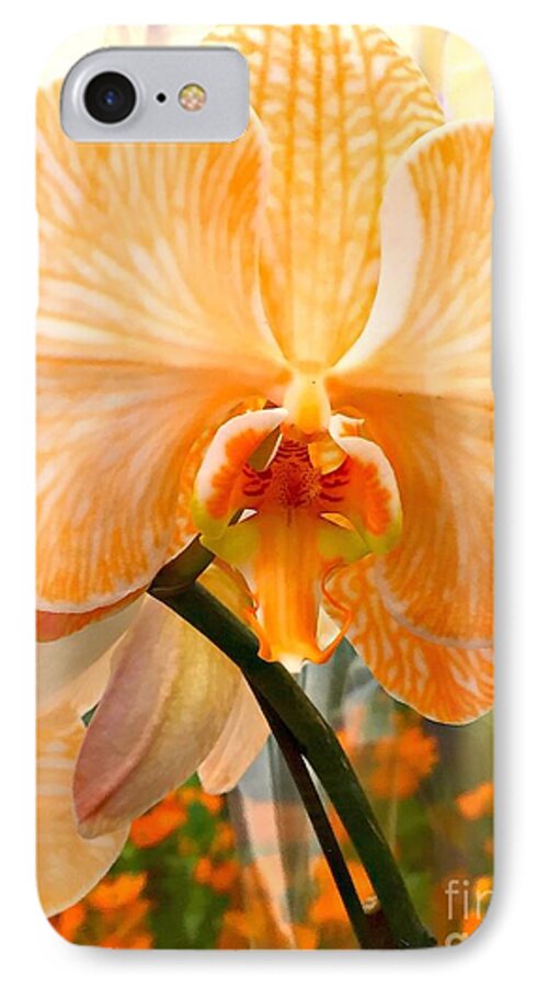 Orchid iPhone 8 Case featuring the photograph Orange Delight #1 by Nona Kumah