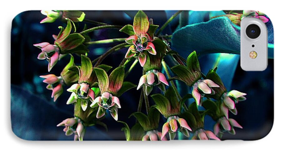 Milkweeds iPhone 8 Case featuring the photograph Satin #2 by Elfriede Fulda