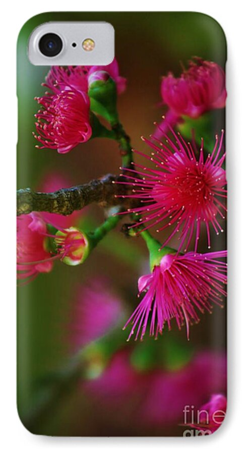 Spring iPhone 8 Case featuring the photograph Spring #1 by Craig Wood