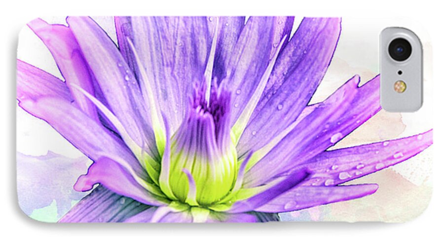 Water Lily iPhone 8 Case featuring the photograph 10889 Purple Lily by Pamela Williams