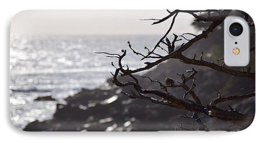 17 Mile Drive iPhone 8 Case featuring the photograph 17 Mile Drive by Sandy Taylor