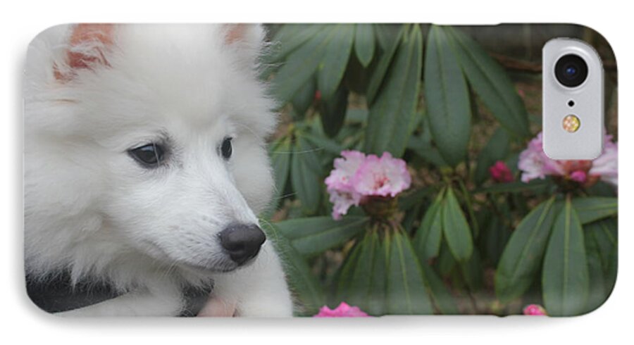 Dog iPhone 8 Case featuring the photograph Daisy #2 by David Grant