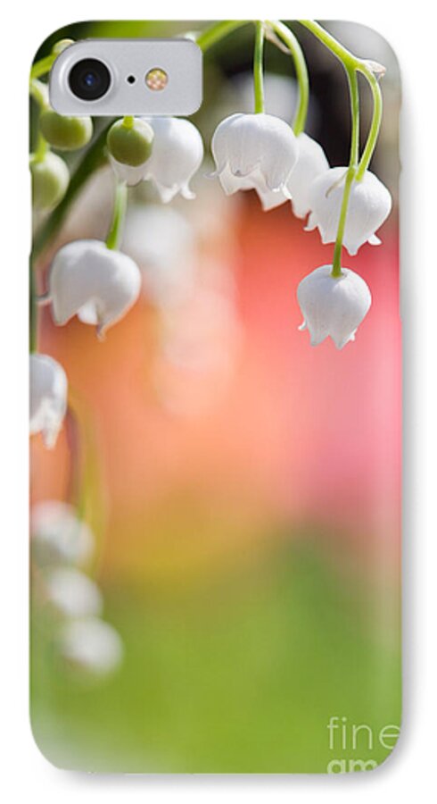 Aroma iPhone 8 Case featuring the photograph Lily of the valley #2 by Kati Finell