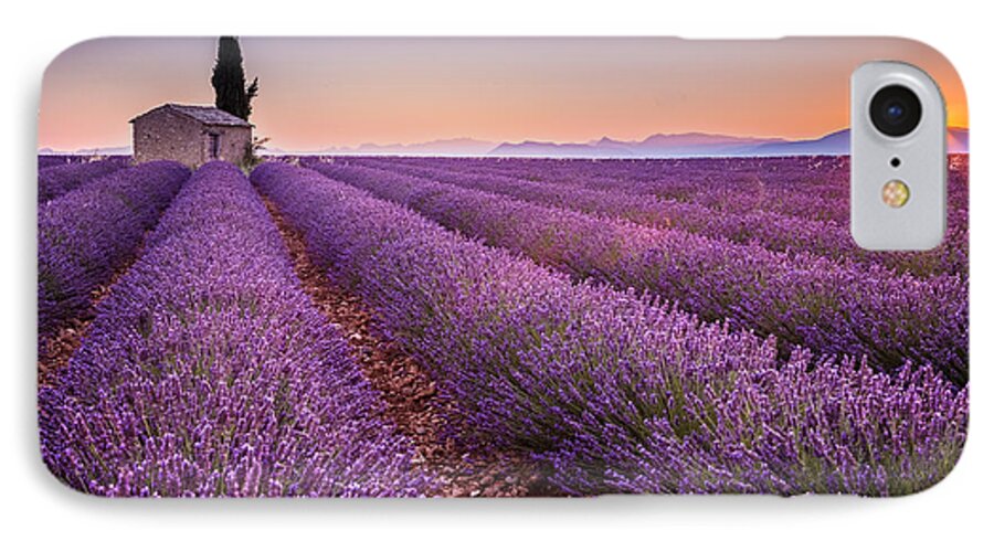Provence iPhone 8 Case featuring the photograph Provence #2 by Stefano Termanini