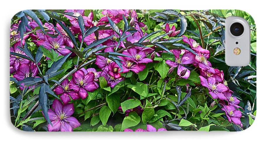 Clematis iPhone 8 Case featuring the photograph 2015 Summer at the Garden Beautiful Clematis by Janis Senungetuk