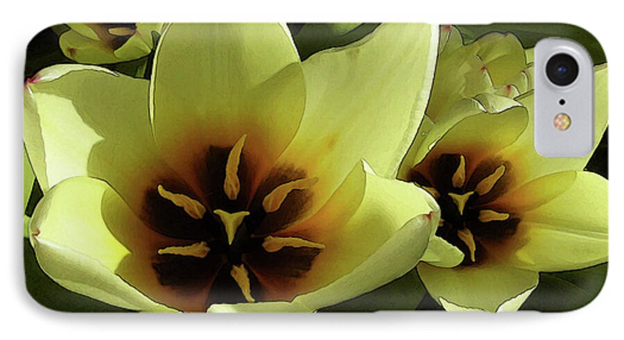 Tulips iPhone 8 Case featuring the photograph Tulip lights #4 by Kim Tran