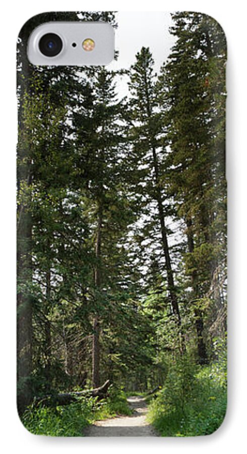 Forest iPhone 8 Case featuring the photograph A Path Through the Trees by Steve Triplett