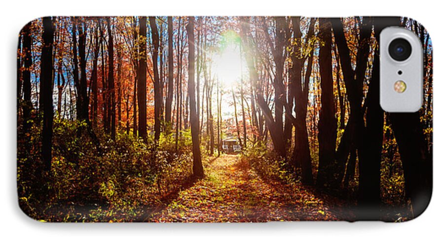 Woods iPhone 8 Case featuring the photograph A Walk to Grandma's by April Reppucci