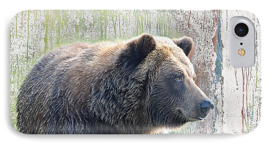Grizzly iPhone 8 Case featuring the photograph Alaska Brown Bear by Dyle  Warren