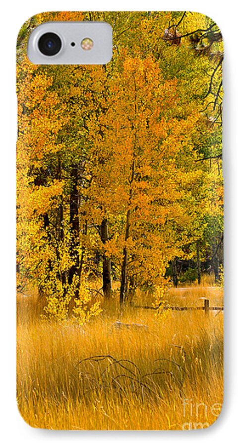 Fall iPhone 8 Case featuring the photograph All The Soft Places To Fall by Mitch Shindelbower