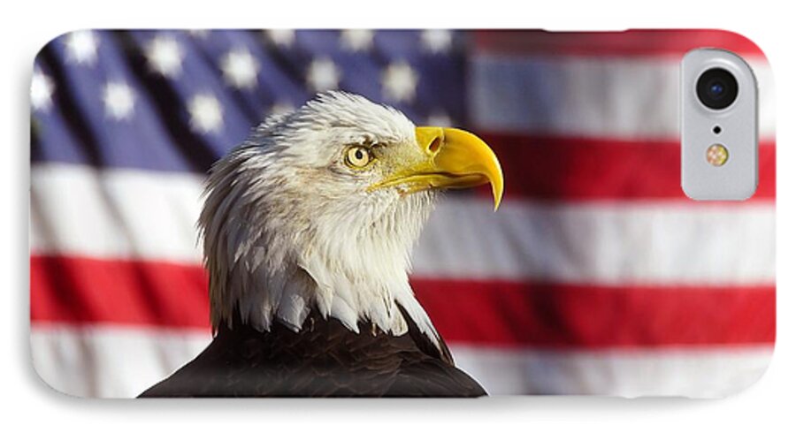 Bald Eagle iPhone 8 Case featuring the photograph American Eagle by David Lee Thompson