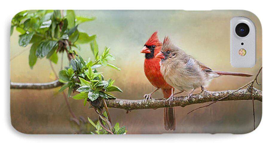 Redbirds iPhone 8 Case featuring the photograph Angels of the Morning and Evening by Bonnie Barry