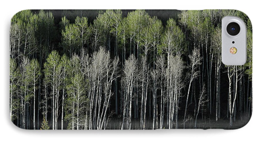 Aspen iPhone 8 Case featuring the photograph Aspen Spring by Randy Rogers